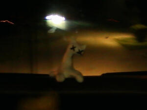 night drive