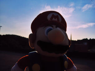 "Mario plush"