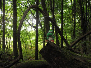 "Yoshi irl 2008"