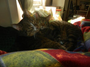"Louie and Pwee